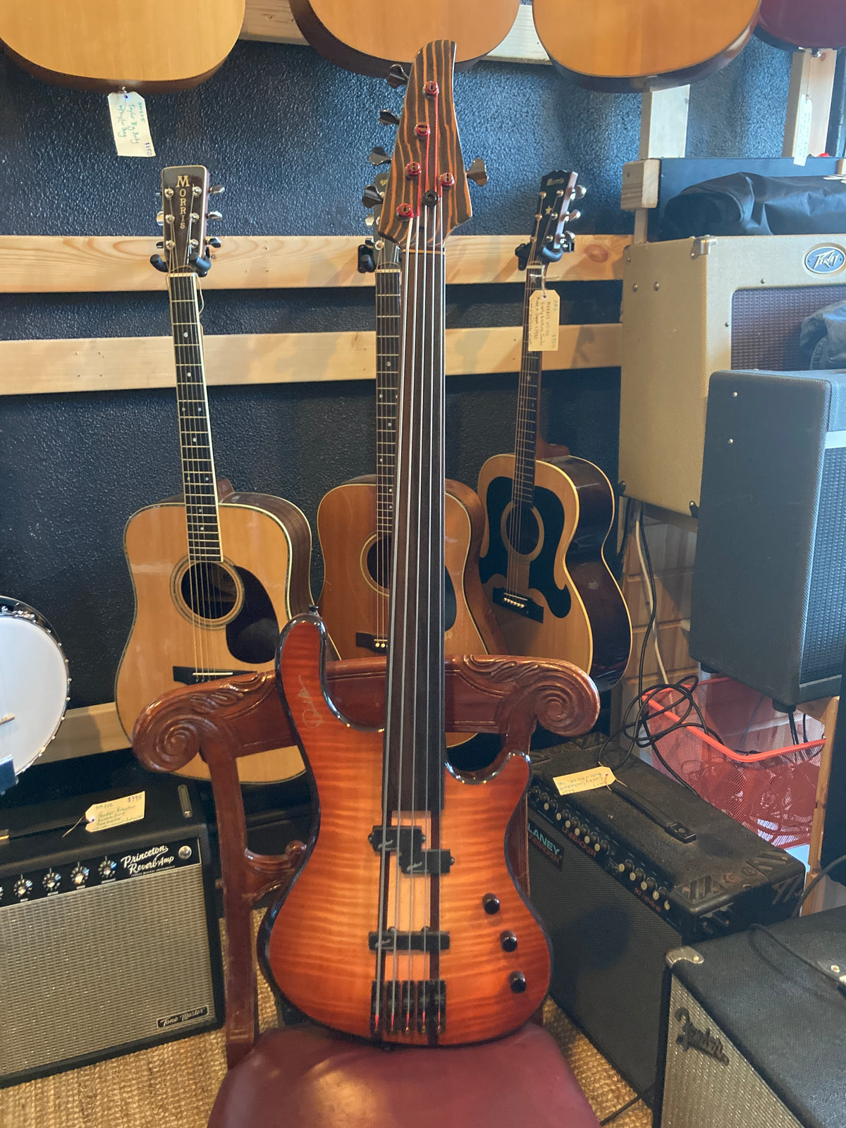 David Malpas - 5 string fretless bass