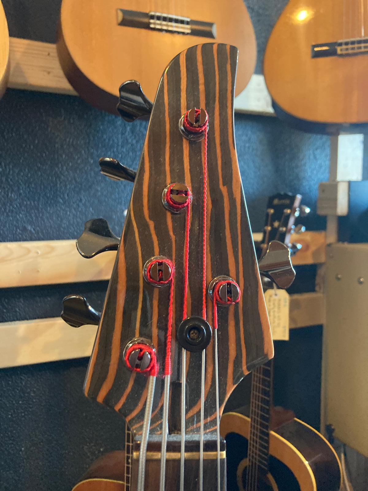 David Malpas - 5 string fretless bass