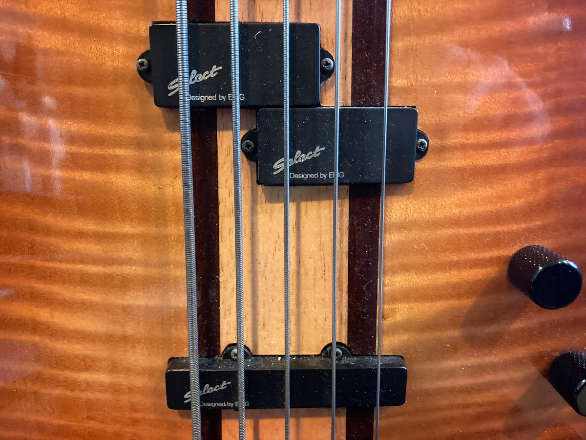 David Malpas - 5 string fretless bass