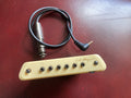 LR - Baggs M1 Active