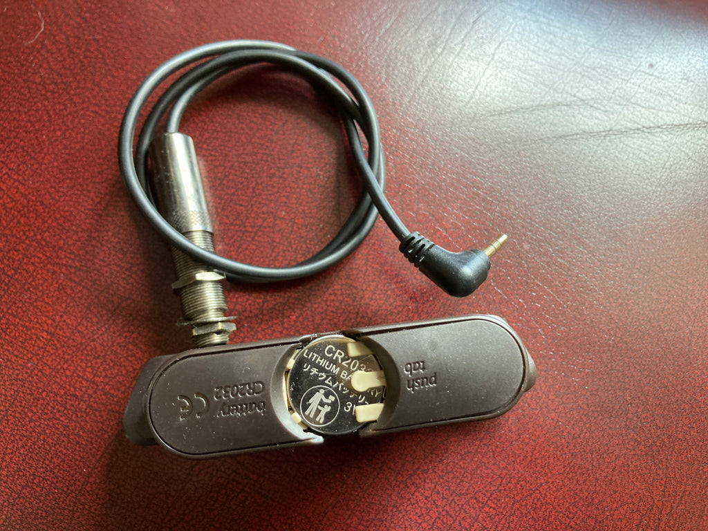 LR - Baggs M1 Active