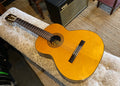 Meiko A6 by M.Matano